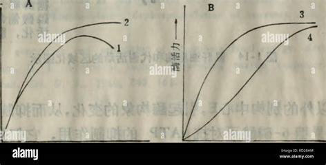 创业奇迹的开始:怎样做游戏学生的成功之路